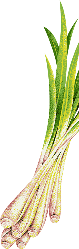 lemongrass stem