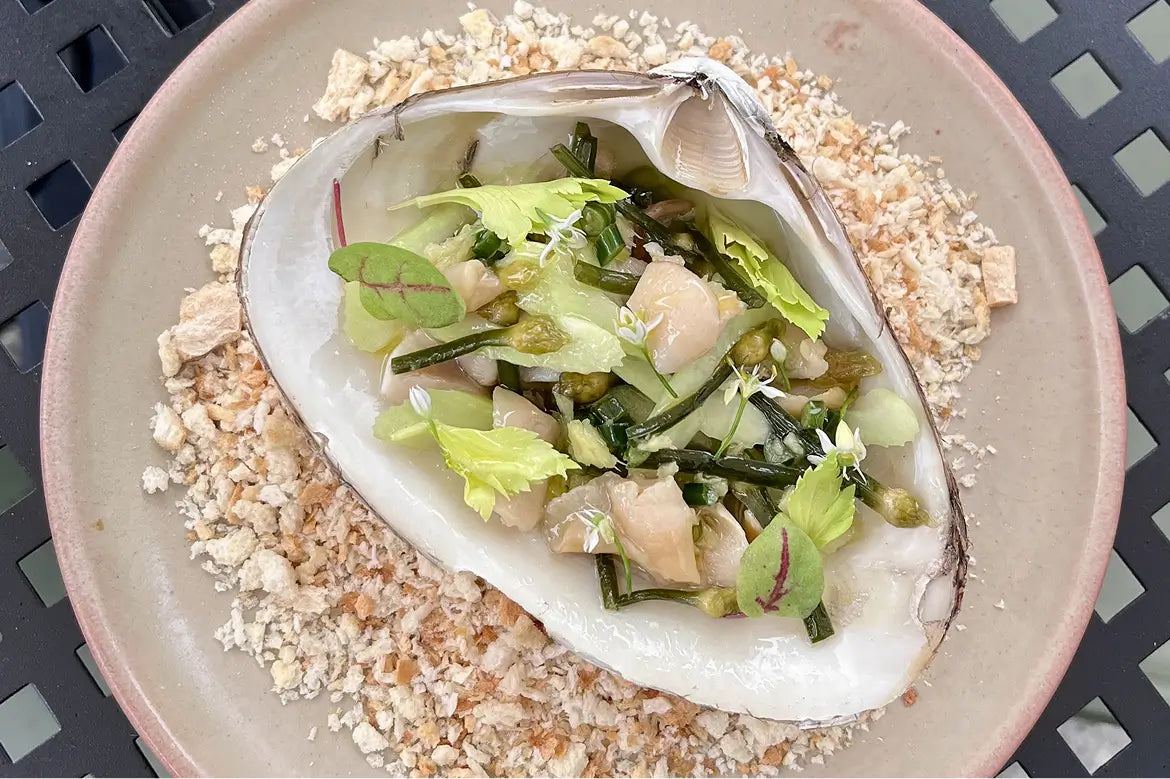 ladyfish-steamed-surf-clam-agrumato2026_v2.webp